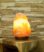 Salt stone lamp