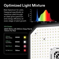 Vivosun Grow Komplett-Set: Die ultimative Lösung für Smart Growing im Indoor-Bereich 60 x 60 x 160