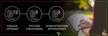 Vitamine für eine Leistungssteigerung des Gehirns